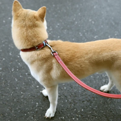 Gambar Paws N Tail Tali & Kalung Anjing Kulit Medium - Merah