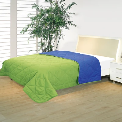 Gambar Sleeplite 150x200 cm Selimut Bicolor - Hijau/Biru