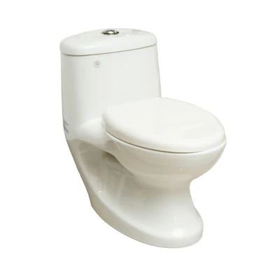 Fosa Kloset Duduk Monoblock Washdown A8650