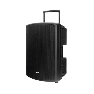 Gambar Polytron Speaker Aktif PAS PRO15F3