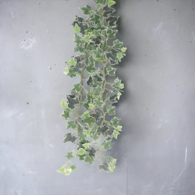 Gambar Arthome Tanaman Artifisial Garland Potato Leaf 22.8x22.8x185.4 cm - Hijau/Putih