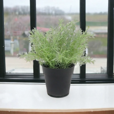 Gambar Arthome Tanaman Artifisial Grass Dengan Pot 20.3x20.3x22 cm Random