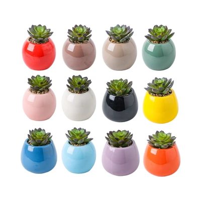 Gambar Arthome Iris Akiko Tanaman Artifisial Succulent Dengan Pot 8x8x9.5 cm Random