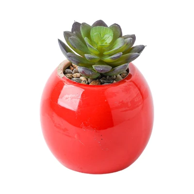 Gambar Arthome Iris Akiko Tanaman Artifisial Succulent Dengan Pot 8x8x9.5 cm Random