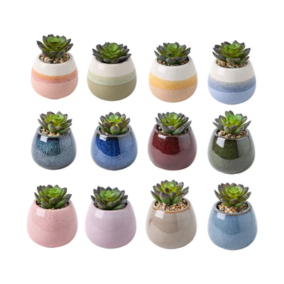 Gambar Arthome Iris Etsuko Tanaman Artifisial Succulent Dengan Pot 8x8x9.5 cm Random