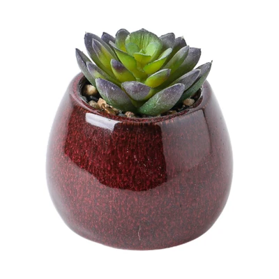 Gambar Arthome Iris Etsuko Tanaman Artifisial Succulent Dengan Pot 8x8x9.5 cm Random