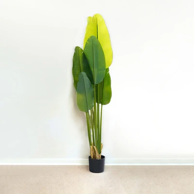 Gambar Informa Tanaman Artifisial Strelitzia Dengan Pot 150 cm - Hijau