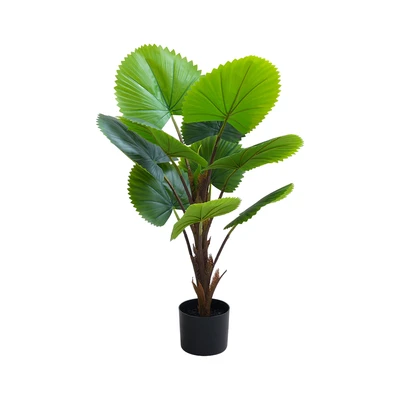 Gambar Informa Tanaman Artifisial Circular Fan Palm Dengan Pot 45x60x90 cm - Hijau