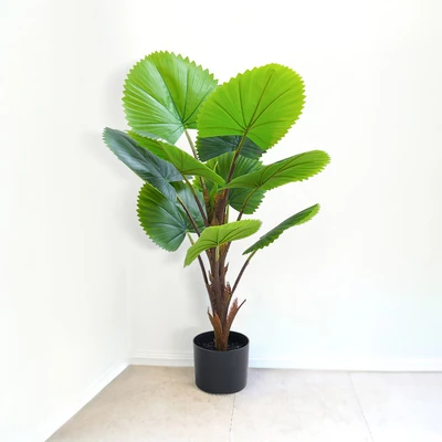Gambar Informa Tanaman Artifisial Circular Fan Palm Dengan Pot 45x60x90 cm - Hijau