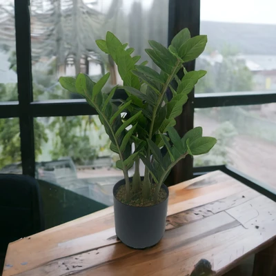 Gambar Arthome Tanaman Artifisial Lucky Feather Dengan Pot 15x15x50 cm