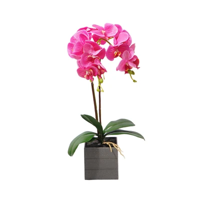 Gambar Arthome Bunga Artifisial Orchid 2 Tangkai Dengan Pot 21x21x50 cm - Pink Fuschia