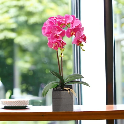 Gambar Arthome Bunga Artifisial Orchid 2 Tangkai Dengan Pot 21x21x50 cm - Pink Fuschia