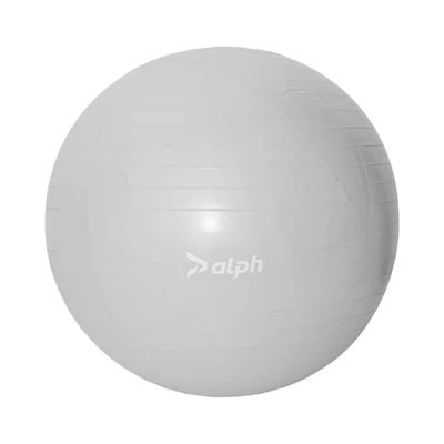 Gambar Alph 75 cm Bola Fitness V2 - Silver