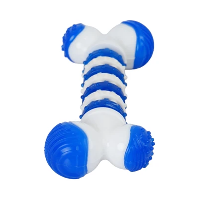 Gambar Paws N Tail Ukuran S Mainan Anjing Tpr Bone Chew - Biru