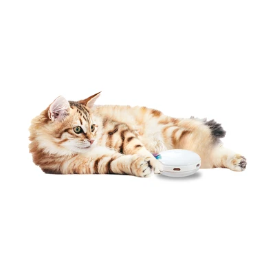 Gambar Paws N Tail Mainan Kucing Automatic - Putih