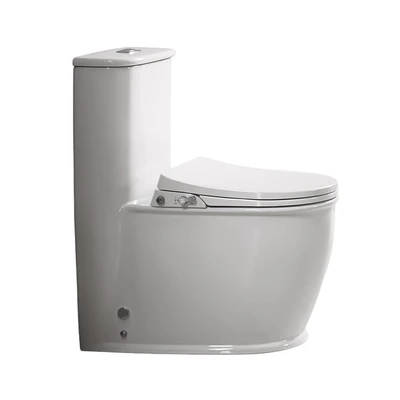 Gambar Acroz Kloset Duduk Monoblock Washdown Washlet A8833