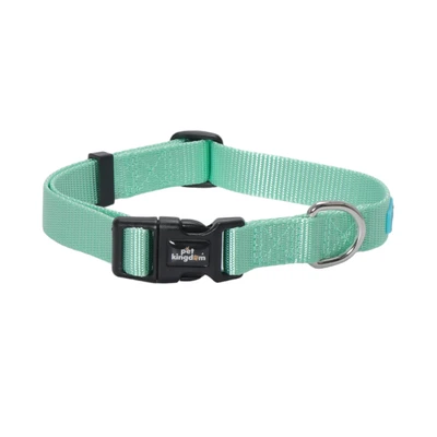 Gambar Pet Kingdom 42-62 cm Coolpet Kalung Anjing Large - Mint
