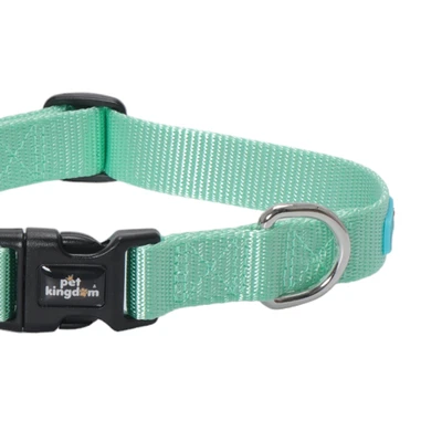 Gambar Pet Kingdom 42-62 cm Coolpet Kalung Anjing Large - Mint