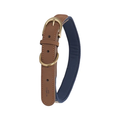 Gambar Pet Kingdom 45-58 cm Coolpet Kalung Anjing Large - Biru