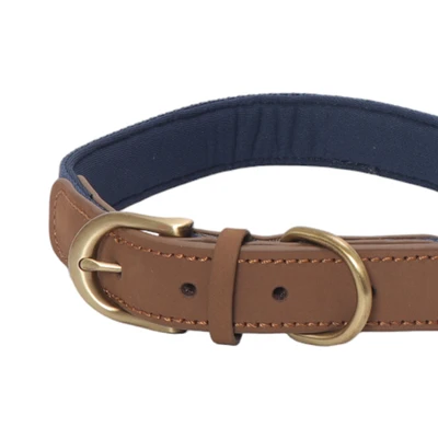 Gambar Pet Kingdom 45-58 cm Coolpet Kalung Anjing Large - Biru