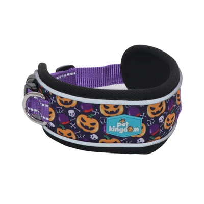 Gambar Pet Kingdom 32-41 cm Coolpet Kalung Anjing Hllwn M - Ungu