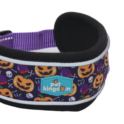 Gambar Pet Kingdom 32-41 cm Coolpet Kalung Anjing Hllwn M - Ungu