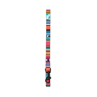 Gambar M-Pets Tali Anjing Urban Style Jazz Stripes Small