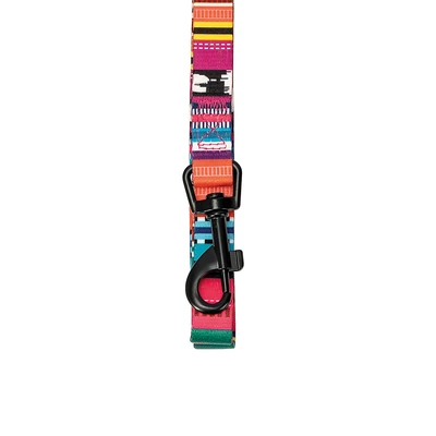 Gambar M-Pets Tali Anjing Urban Style Jazz Stripes Small
