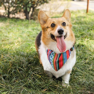 Gambar M-Pets Ukuran M Urban Style Kalung Bandana Anjing Jazz Stripes