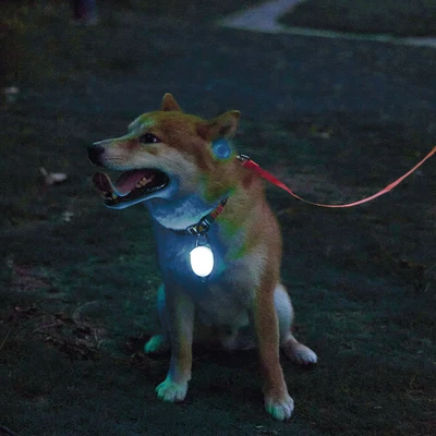 Gambar M-Pets Liontin Kalung Anjing Led Jewel - Biru