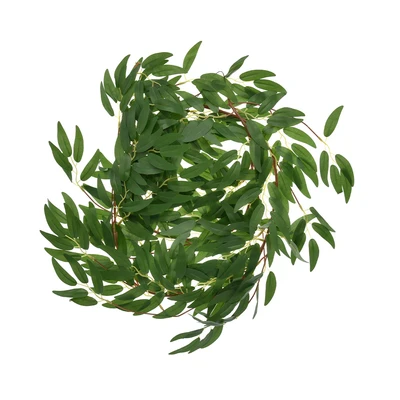 Gambar Cc Grass Tanaman Artifisial Garland Vine Salix Leaf 170 cm - Hijau