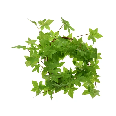 Gambar Cc Grass Tanaman Artifisial Garland Vine Maple 170 cm - Hijau