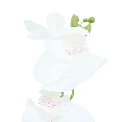 Gambar Informa Bunga Artifisial Orchid 3x3x73 cm - Putih