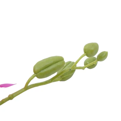 Gambar Informa Bunga Artifisial Orchid 73x3x3 cm - Ungu