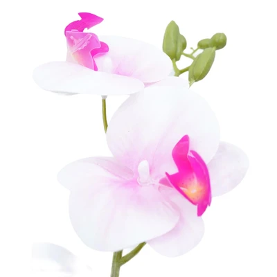 Gambar Informa Bunga Artifisial Orchid 3x3x73 cm - Ungu/Putih