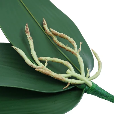 Gambar Informa Tanaman Artifisial Orchid Leaf 26x10x2 cm - Hijau