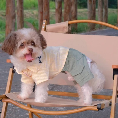 Gambar Doggy Dolly Ukuran S Baju Jumper Kasual Anjing - Kuning