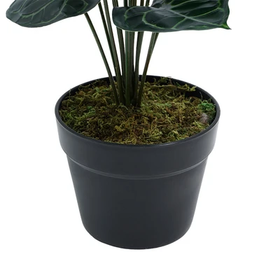 Gambar Informa Tanaman Artifisial Anthuniun Dengan Pot 45x45x55 cm - Hijau