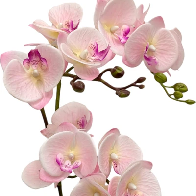 Gambar Arthome Bunga Artifisial Orchid Dengan Pot 25x12x50 cm - Pink Pastel