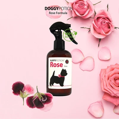 Gambar Doggy Potion 250 Ml Kondisioner Anjing Puppy Rose Spray