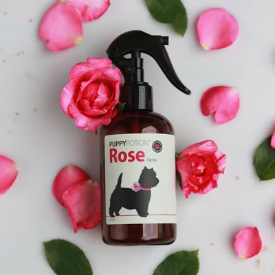 Gambar Doggy Potion 250 Ml Kondisioner Anjing Puppy Rose Spray