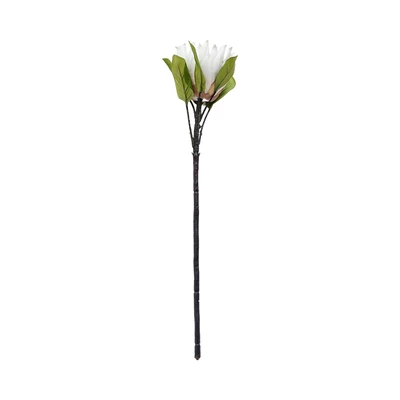 Gambar Informa Tanaman Artifisial Protea 12x12x65 cm - Krem