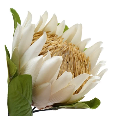 Gambar Informa Tanaman Artifisial Protea 12x12x65 cm - Krem