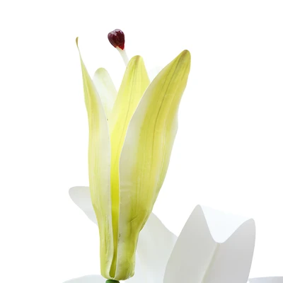 Gambar Informa Bunga Artifisial Lily 74 cm - Putih