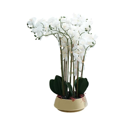 Gambar Informa Bunga Artifisial Orchid Dengan Pot 30x30x82 cm - Putih
