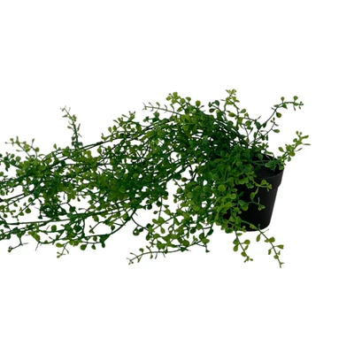 Gambar Arthome Tanaman Artifisial Garland Fern Dengan Pot 73 cm - Hijau