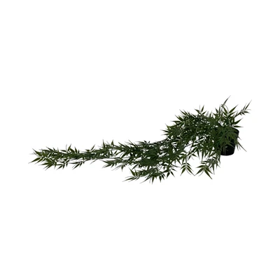Gambar Arthome Tanaman Artifisial Garland Bamboo Leaves Dengan Pot 9x9x77 cm - Hijau