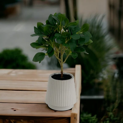 Gambar Arthome Tanaman Artifisial Fig Dengan Pot 35 cm - Hijau