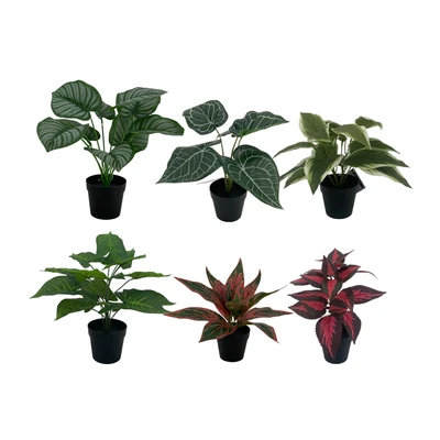 Gambar Arthome Tanaman Artifisial Big Leaf Dengan Pot 9x9x29 cm Random