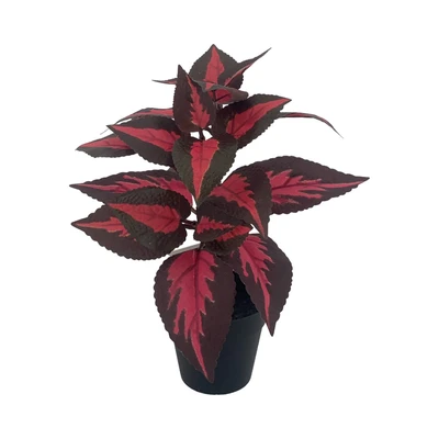 Gambar Arthome Tanaman Artifisial Big Leaf Dengan Pot 9x9x29 cm Random